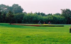 網(wǎng)絡(luò)化空氣監(jiān)測(cè)站監(jiān)測(cè)哪些參數(shù)？