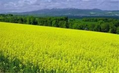 怎么用空氣負(fù)氧離子監(jiān)測(cè)系統(tǒng)？